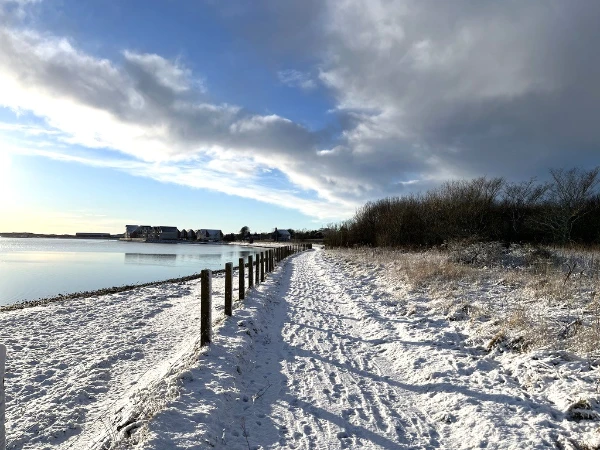 Action for Climate and Environment Newburgh-18